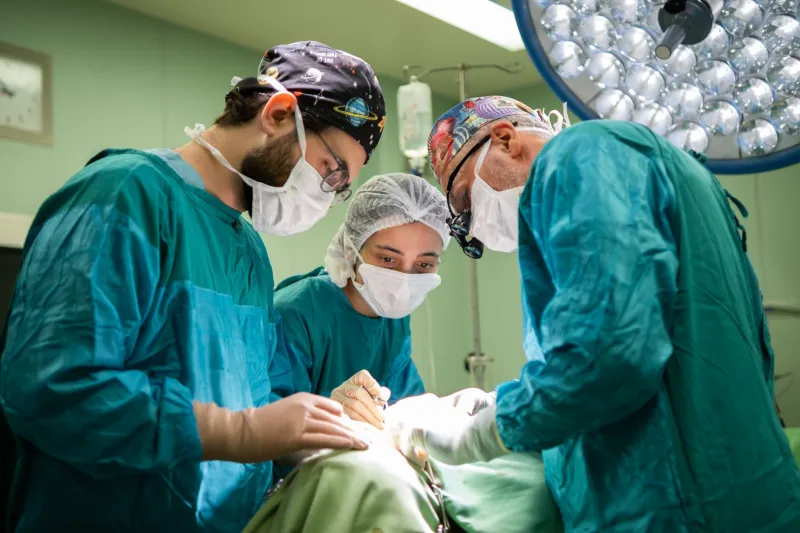 From Flight Deck to A&E: The Remarkable Second Acts of RAF Medical Professionals